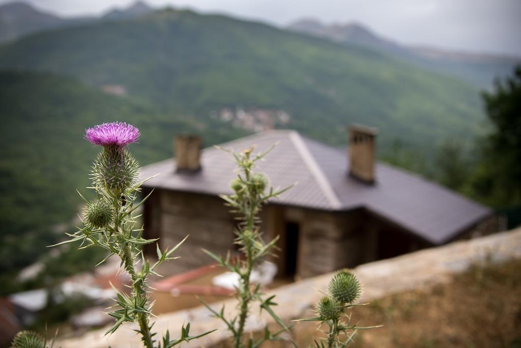 Radika View House Appartamento Galicnik Esterno foto